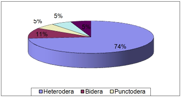 Таксономическая структура зарегистрированных в Украине пяти родов семейства Heteroderidae